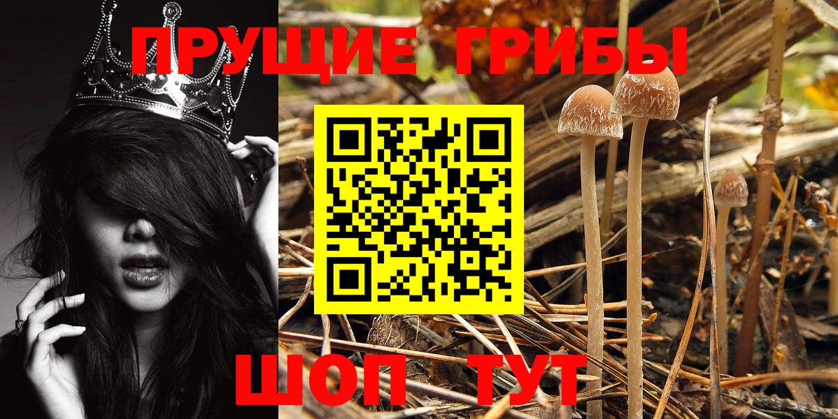 Галлюциногенные грибы мицелий Курск