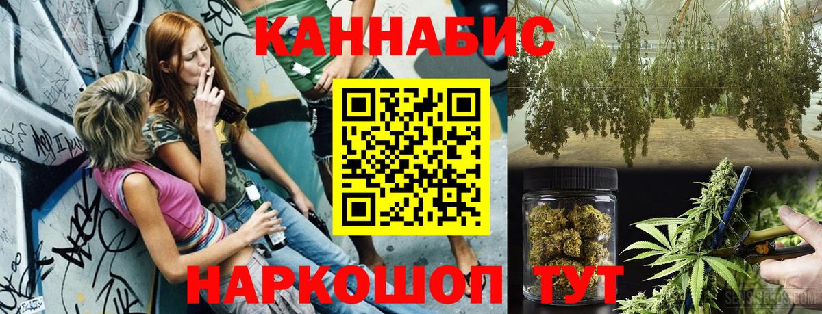 Конопля ГИДРОПОН Курск